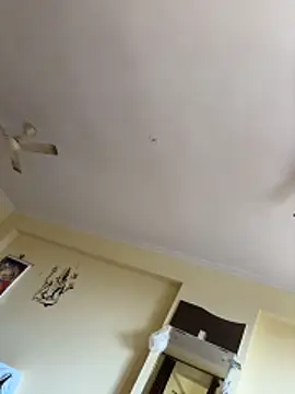 indianshycouple live sex cam