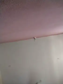 TonicVigor's cam snapshot