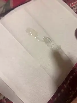 Majestik1 live sex cam