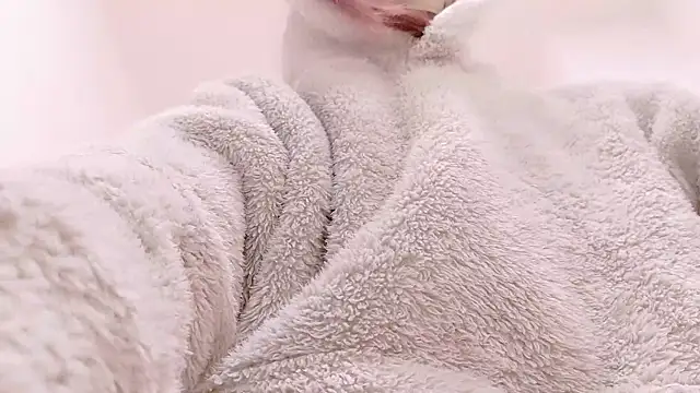 Oo_AYANE_c5's cam snapshot