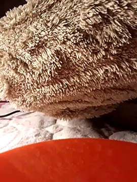 -Bunny-y's cam snapshot