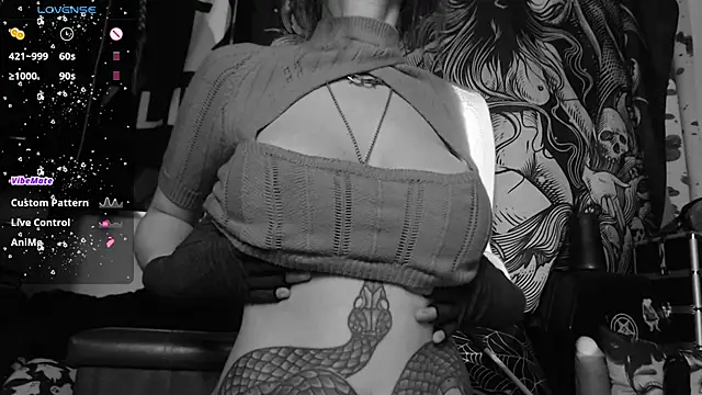 Silentmary's cam snapshot