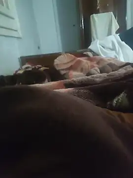 amirMohamed58 live sex cam