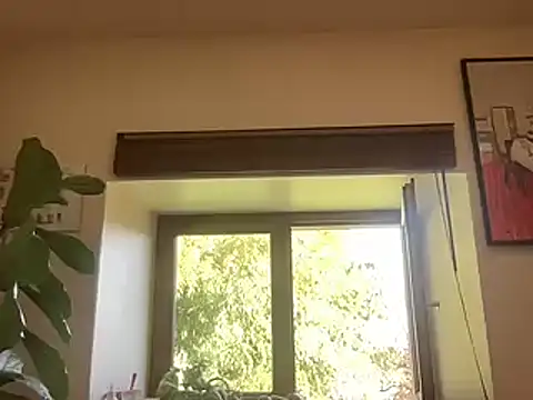 chtentation's cam snapshot