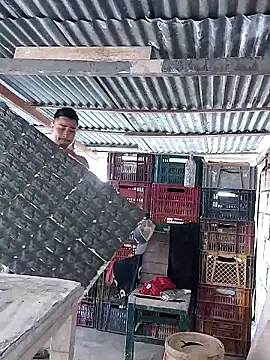 hoteder live sex cam