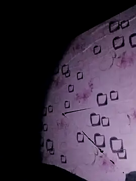 Sana-vn's cam snapshot