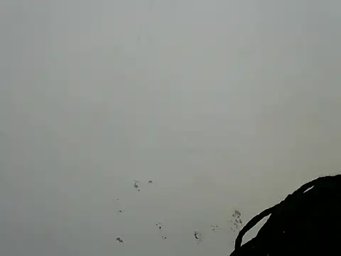 Rasta_tattooed live sex cam