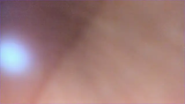 taeni_lara live sex cam