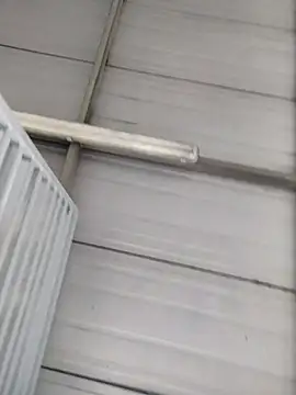 taaylor33 live sex cam