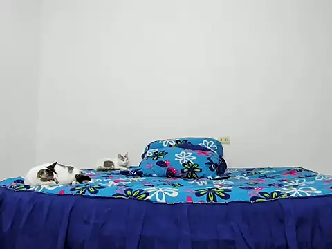 Karina27's cam snapshot