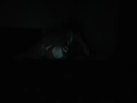 ElektraShine29 live sex cam