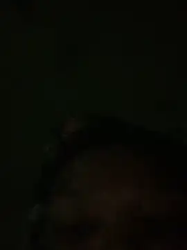 slimcateee live sex cam