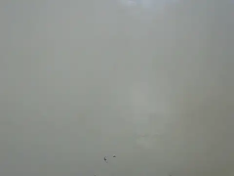 Rasta_tattooed live sex cam