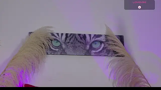 Zafira_'s cam snapshot