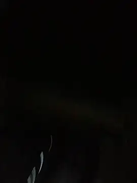 KarlyAndDavey live sex cam