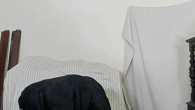 Metalstud's cam snapshot