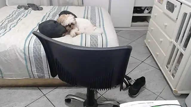 MysterBearMG live sex cam