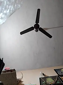 Meri-javani's cam snapshot