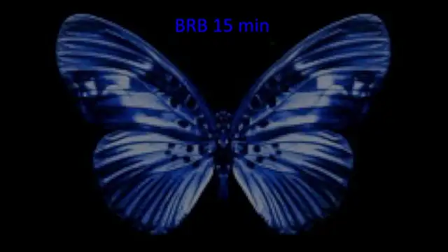 Elainebeness's cam snapshot