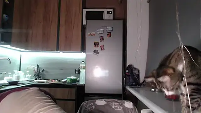 delightful_sofi's cam snapshot