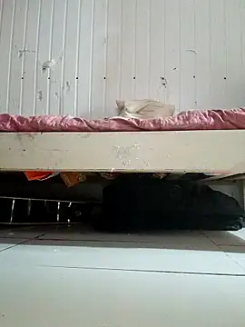 frotasso's cam snapshot