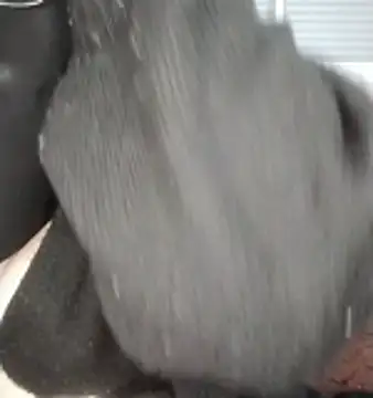 Sexy__Arab live sex cam