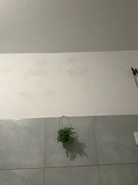 Gabrielleof live sex cam