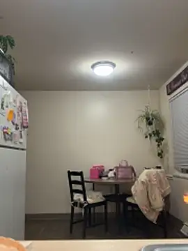 nicolesugarr live sex cam