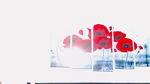 Kitty_f00x's cam snapshot