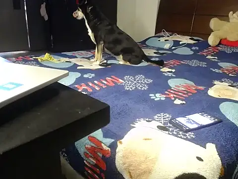 natys123's cam snapshot