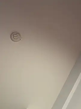 Andrestarr's cam snapshot