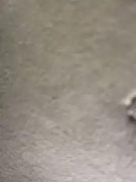 AngelinaTeller live sex cam