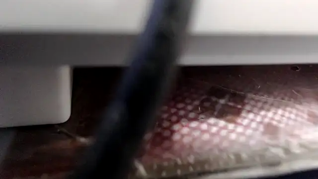 kittykalor09 live sex cam