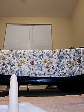 AmethystFoxx's cam snapshot