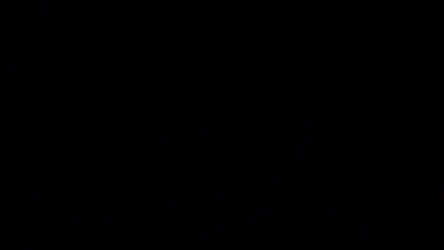 Ashlyvega live sex cam