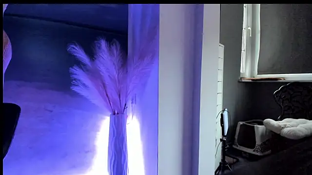 geileeSara live sex cam