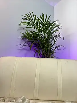 Elirpo's cam snapshot