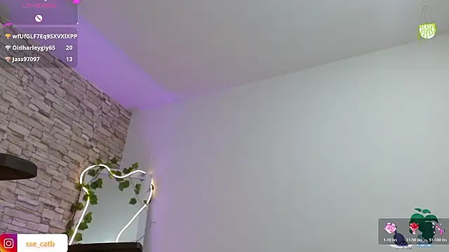 casse_tay's cam snapshot