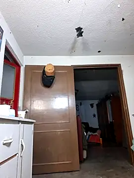 Jabos24 live sex cam