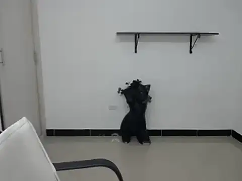 Endibel's cam snapshot