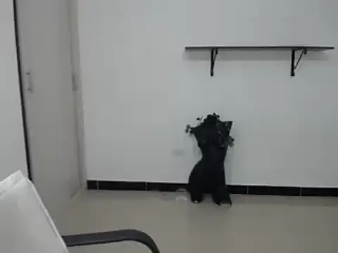 Endibel's cam snapshot