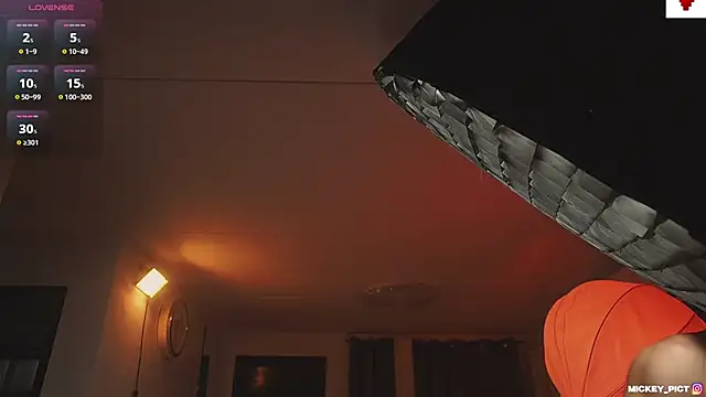 mickeypict's cam snapshot