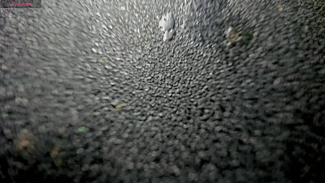 AmeliaRose44's cam snapshot