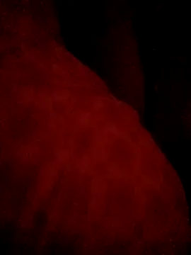 sarahkat86 live sex cam