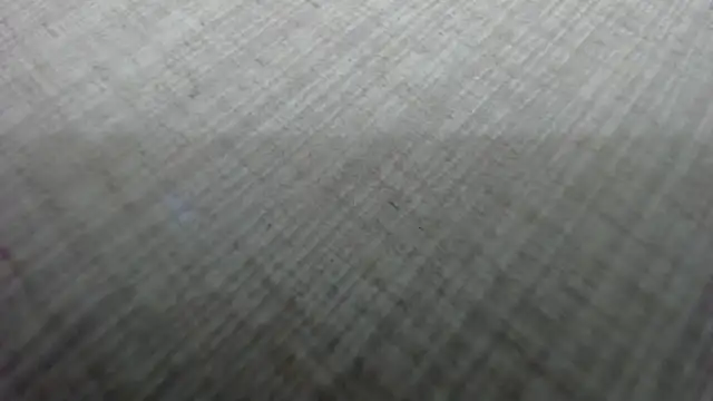 AishaRouhi live sex cam