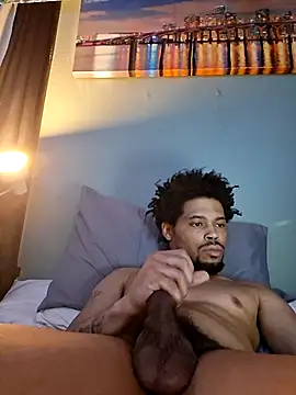 Painstickwes's cam snapshot