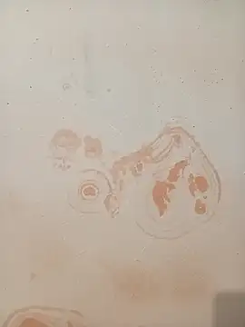 Sapna_baby1's cam snapshot