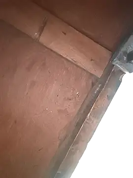 Srmotrs live sex cam