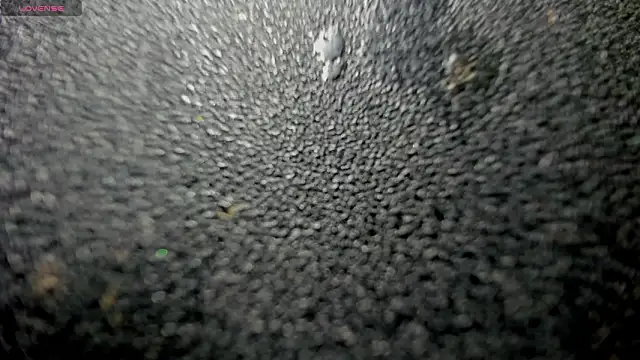 AmeliaRose44's cam snapshot