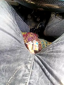 Sharmasamba's cam snapshot